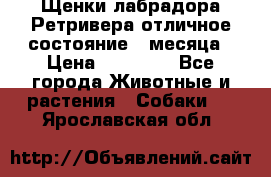 Щенки лабрадора Ретривера отличное состояние 2 месяца › Цена ­ 30 000 - Все города Животные и растения » Собаки   . Ярославская обл.